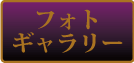 フォトギャラリー