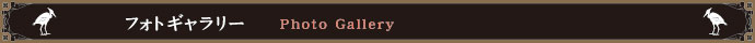 フォトギャラリー