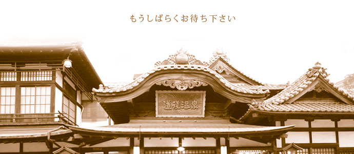 フォトギャラリー