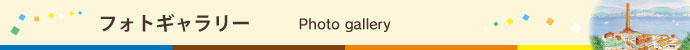 フォトギャラリー