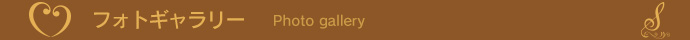 フォトギャラリー